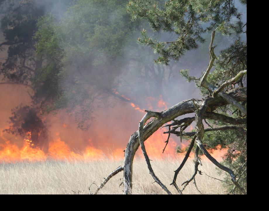 Natuurbrand-brandweer-VNOG-01