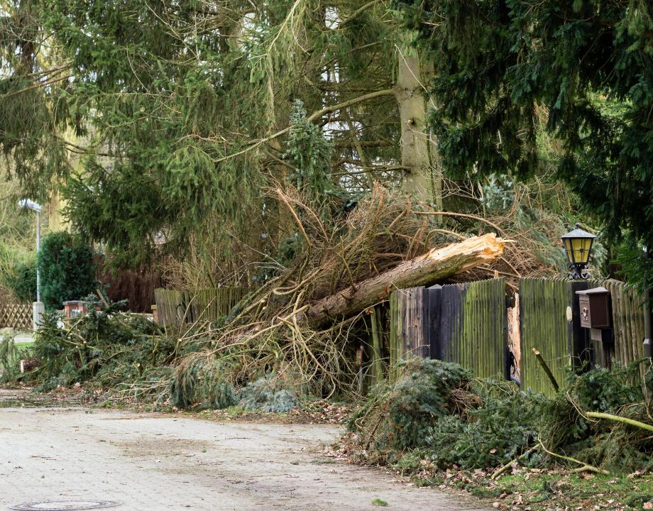 Bereid-je-voor-op-extreem-weer-storm-crisis-VNOG-08