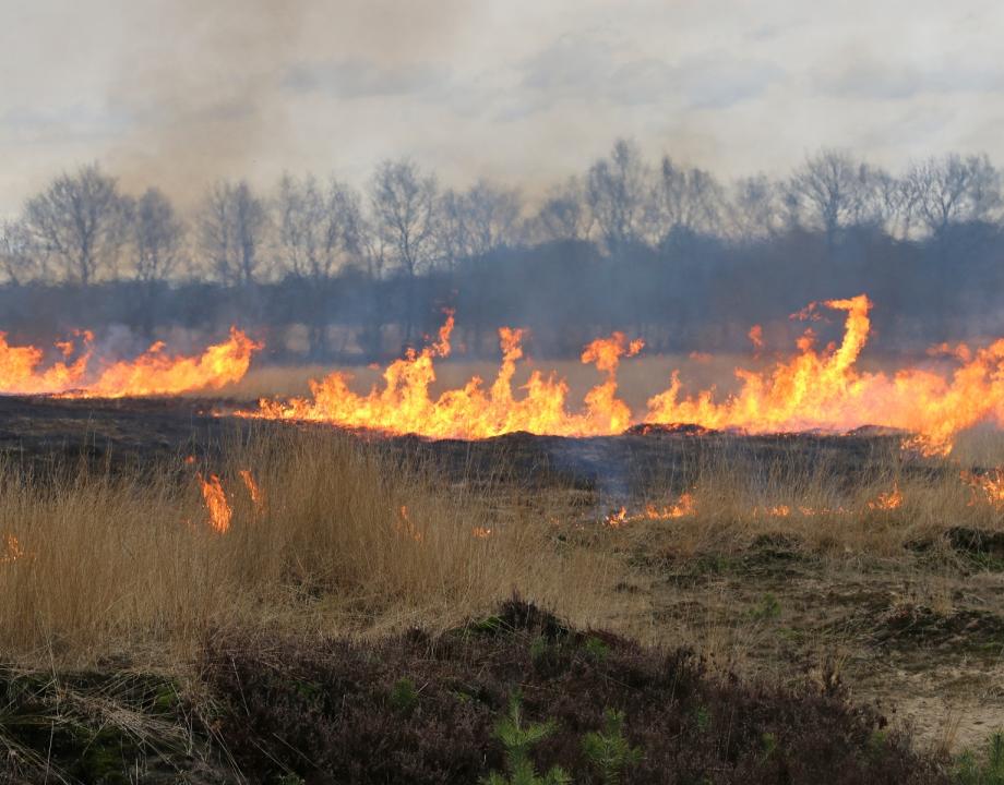 Natuurbrand Veluwe