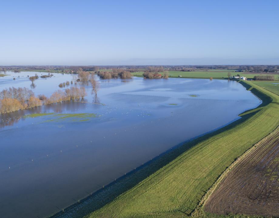 Hoog water