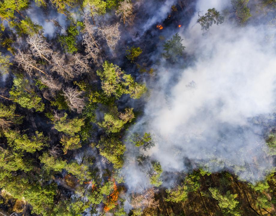 Luchtverkenning natuurbrandpreventie