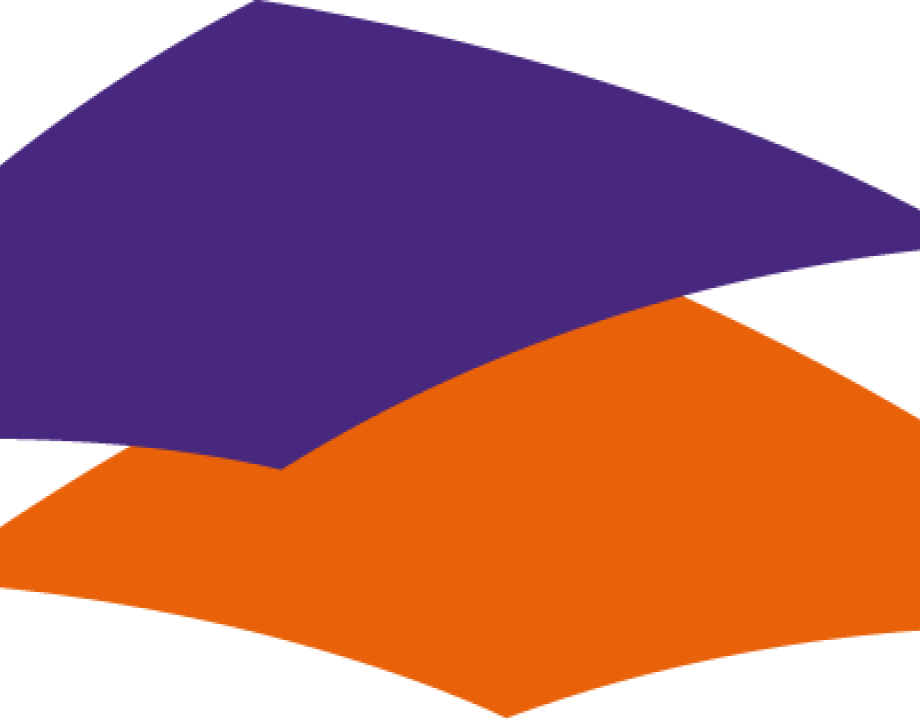 logo vnog