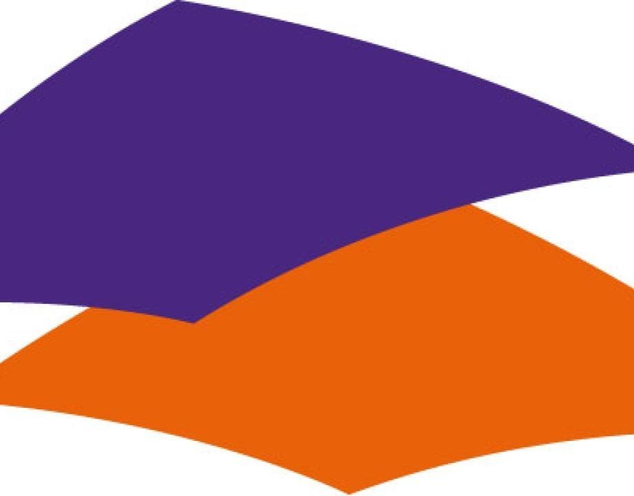logo vnog met paars en oranje blok zonder tekst