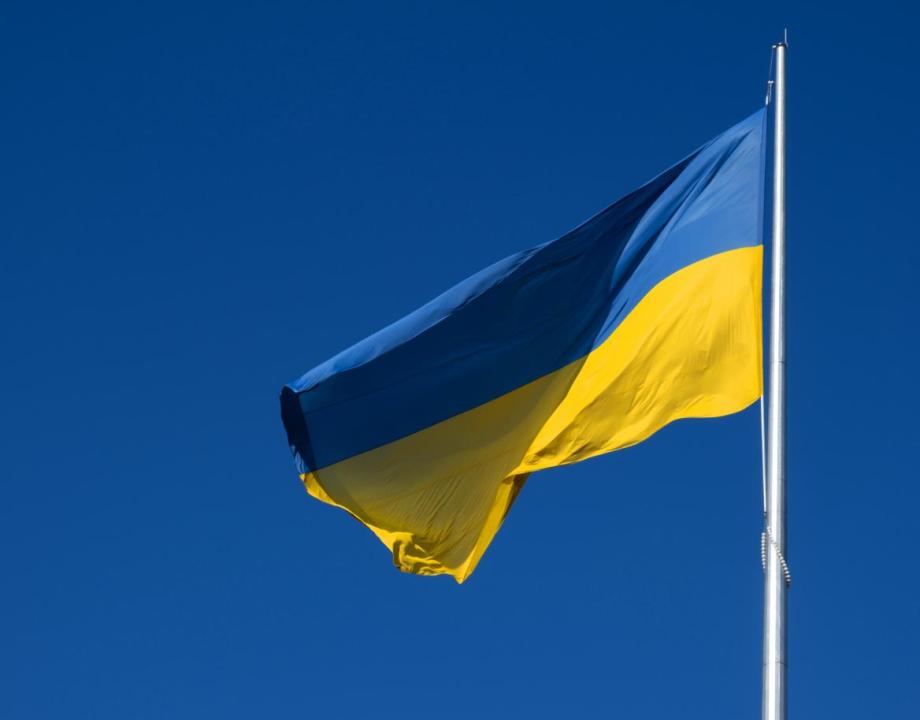 Wapperende vlag van Oekraïne